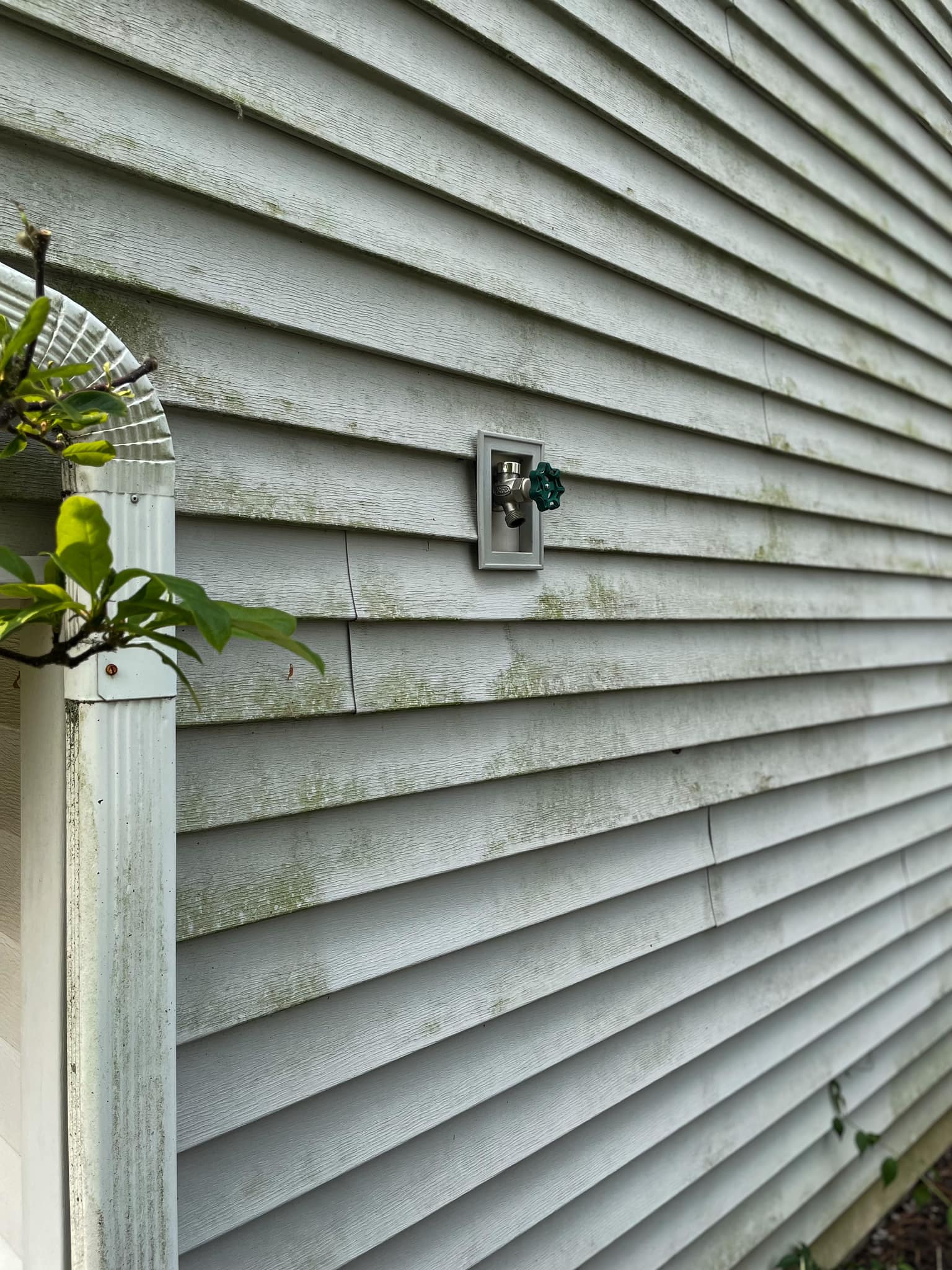 Exterior cleaning in Champaign County — pressure washing service in progress